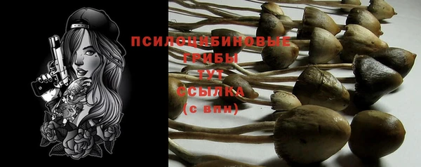 гашишное масло Шали
